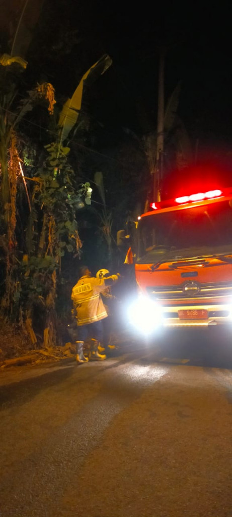 Kebakaran Pohon Bambu di Banjar Negara Kaja, Desa Sading, Kecamatan Mengwi Tanggal 03 September 2023